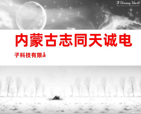 内蒙古志同天诚电子科技有限公司